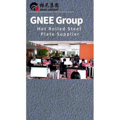 GNEE Group Office Environment Showcase