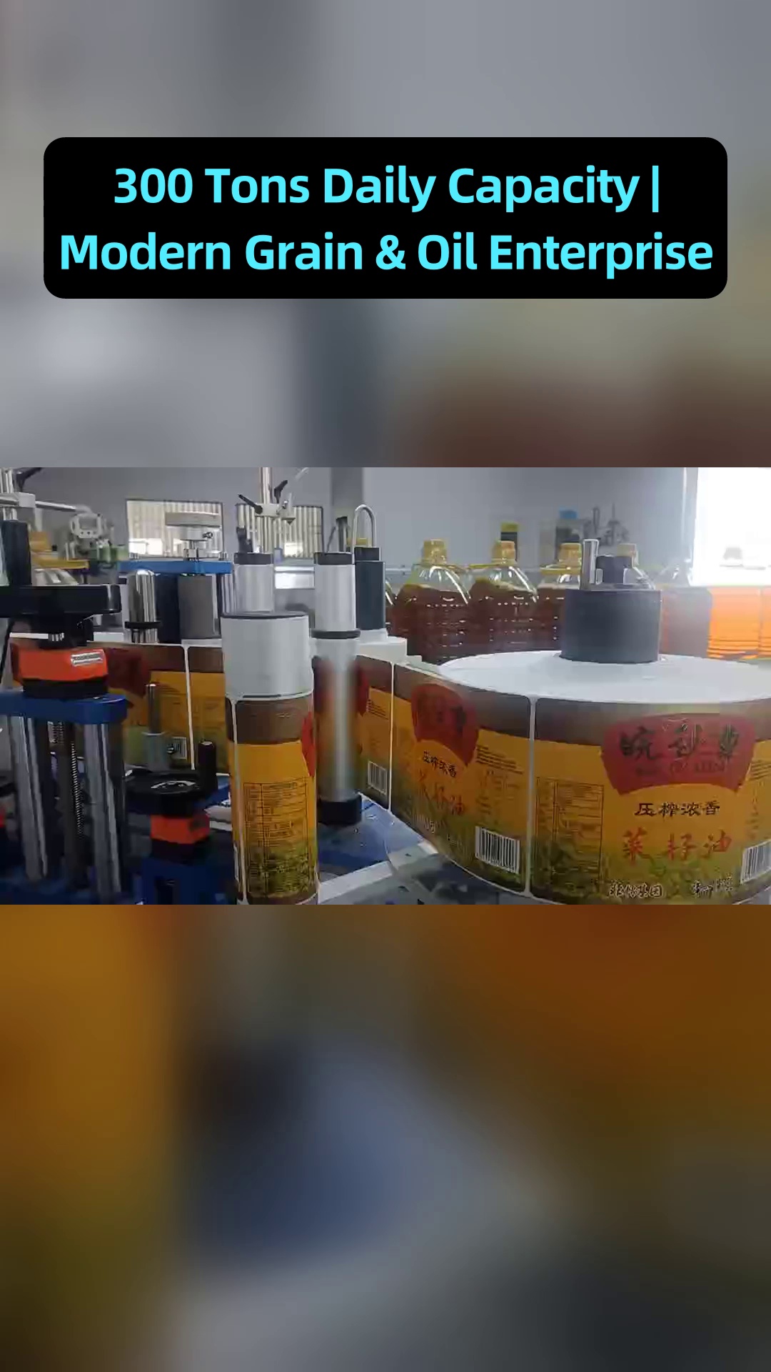كيفية تجنب المخاطر الشائعة المتعلقة بجودة زيت الطعام من خلال الفحص العلمي للمواد الخام ومبادئ مراقبة جودة الإنتاج الموحدة