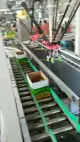 toppfyllningstyp robot wellpappkartonglåda fyllningsförpackningsmaskin