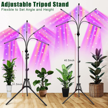 Top 10 Most Popular Chinese Grow lights Brands