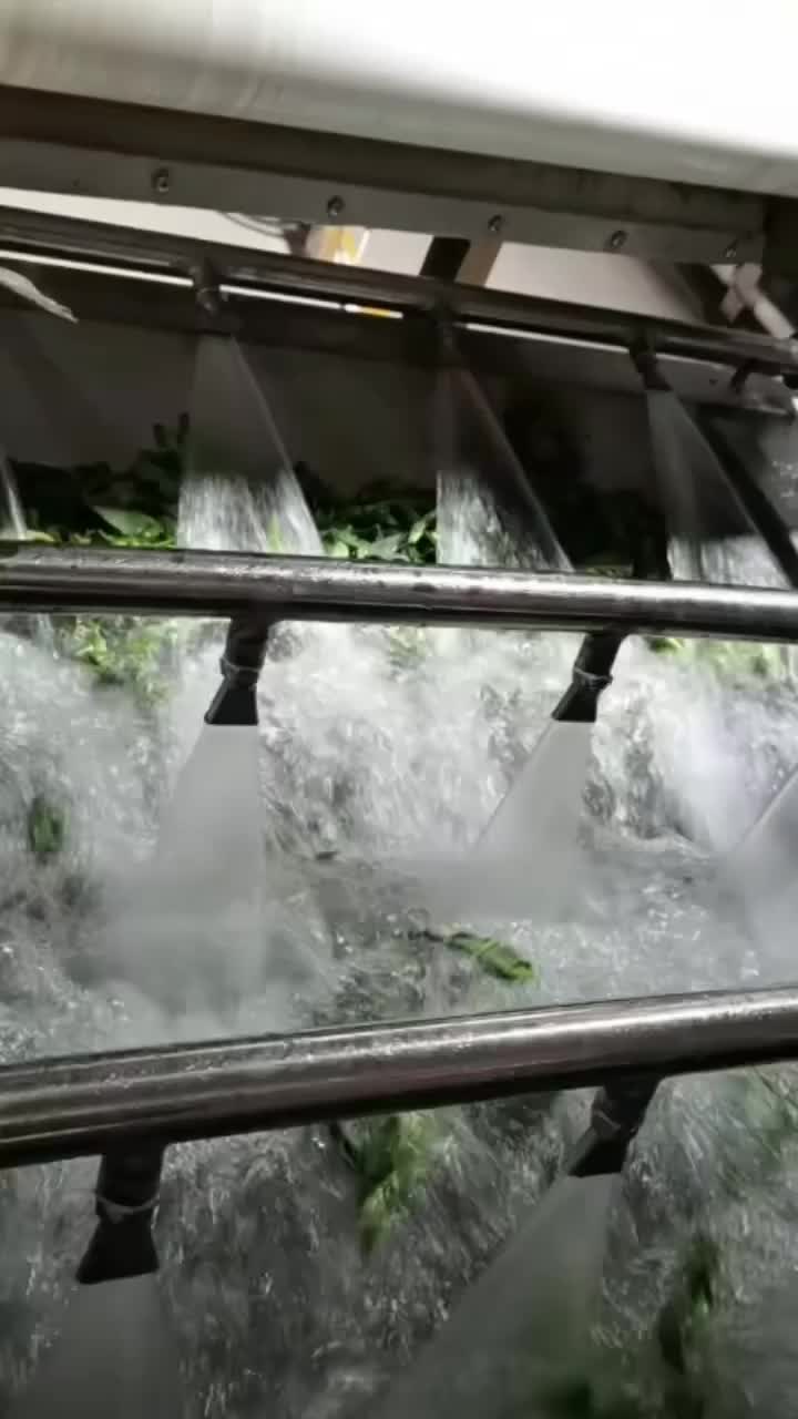 freezing vegetable process