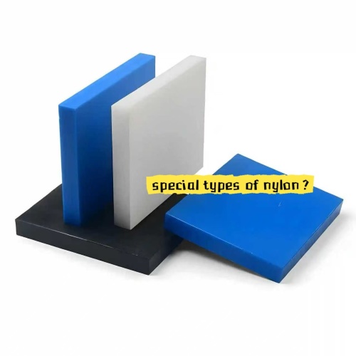 Además del nailon comúnmente utilizado en ingeniería general, ¿qué otros tipos especiales de nailon existen?