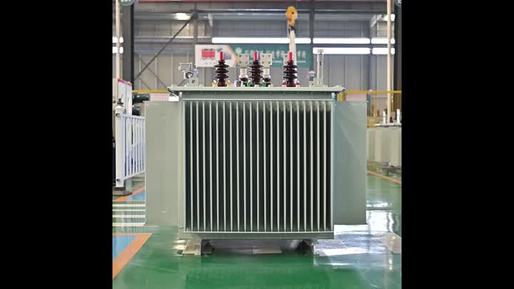 Oil immersible transformer 1250