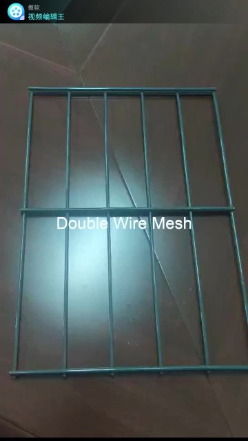 Low Price Anti-corrosion Double Wire Fence For Sale1