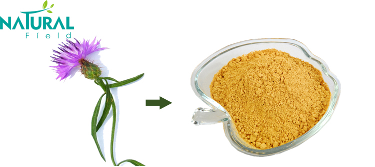 Pharmaceutical Grade UV20%-95% Milk Thistle Extract Powder Silymarin/Silybin