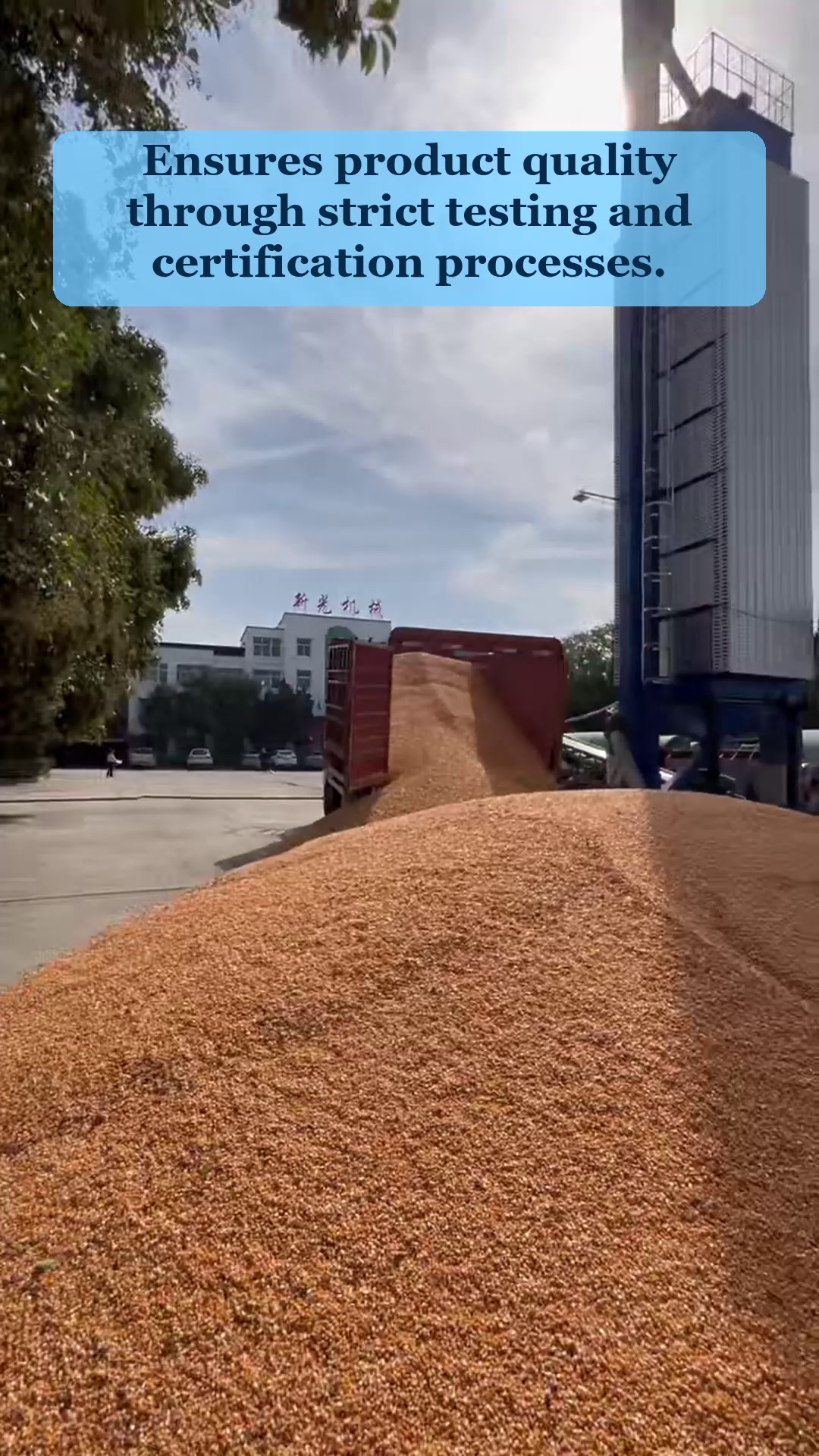 Vidéo 55