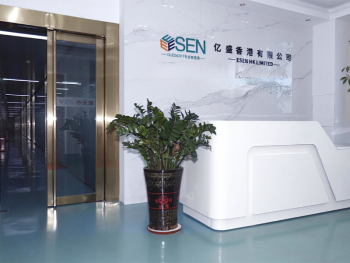 ESEN HK LIMITED
