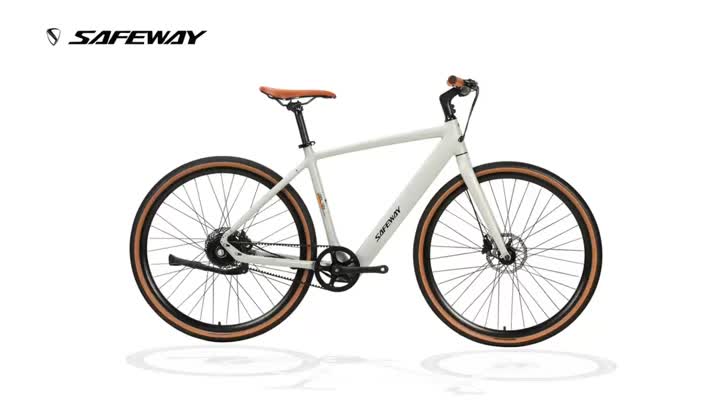E-Bike in bicicletta