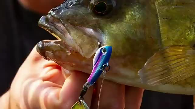 Truscend spinnerbait pike bass trout silikon logam keras tungsten cranking spinner spoon memancing ikan untuk air masin1