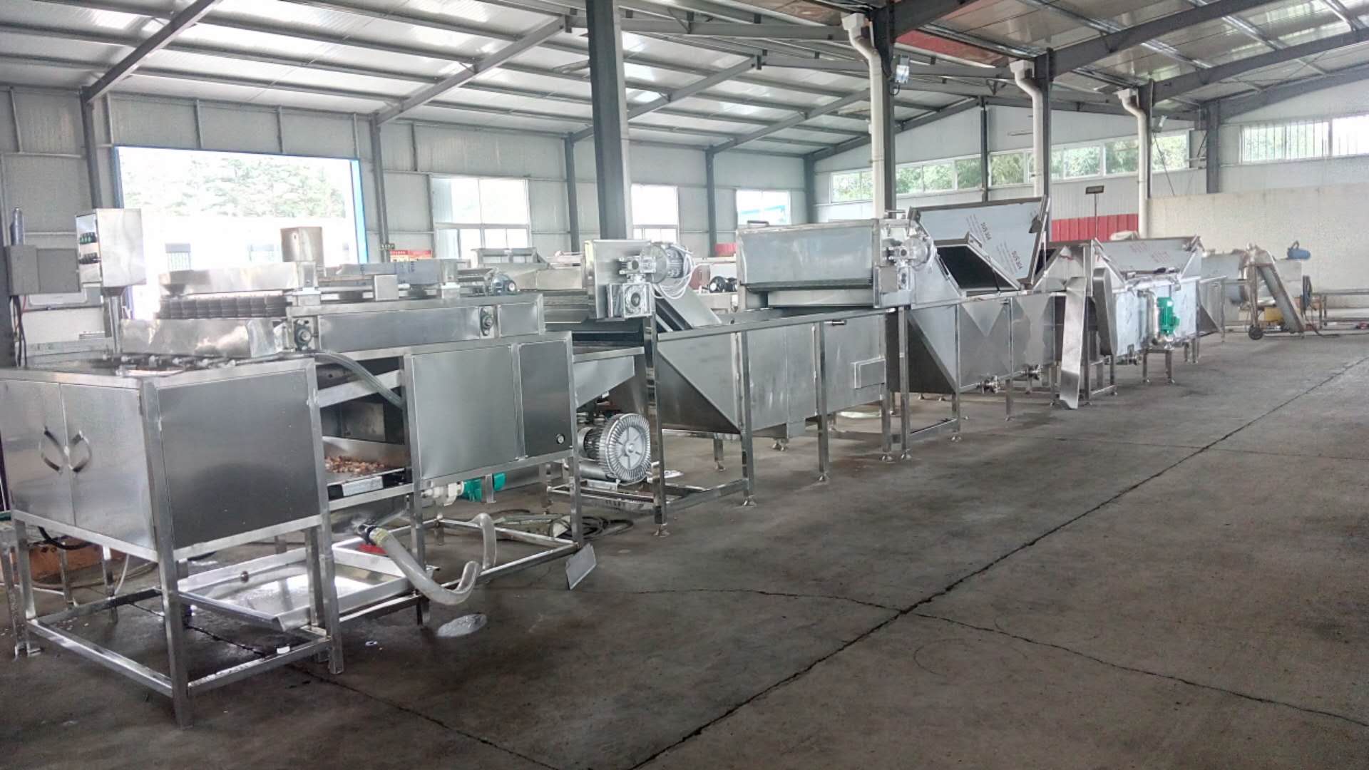 Hen Egg Boiling Shelling Line