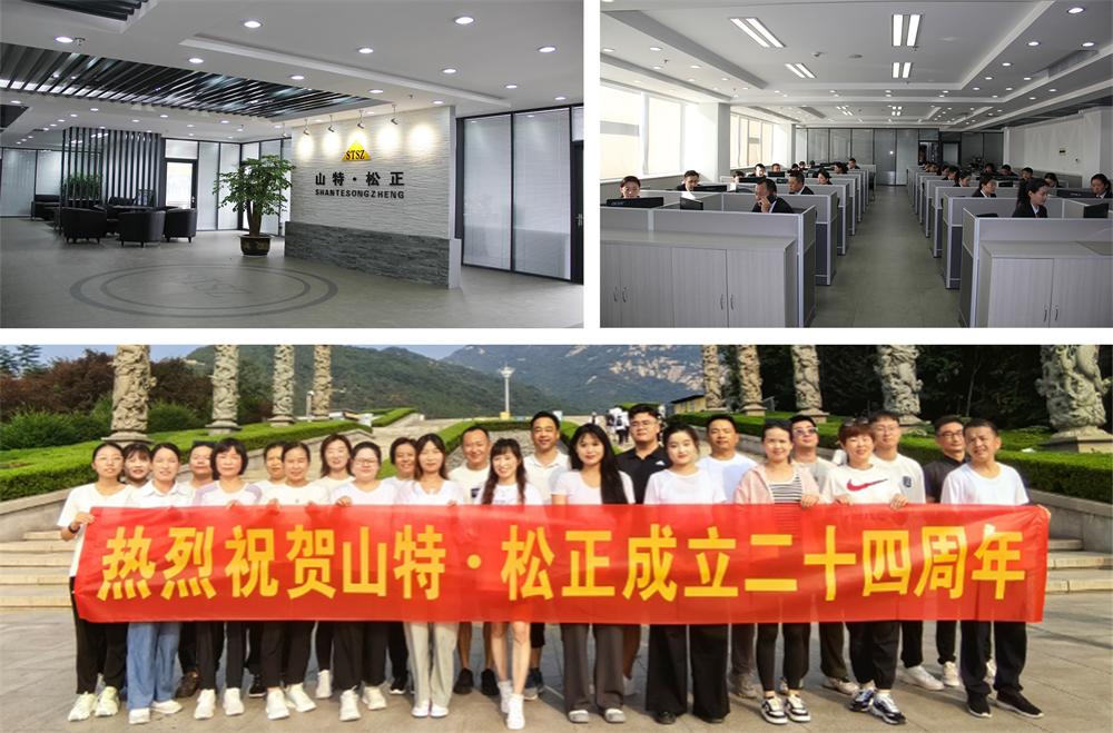 SHANTE SONGZHENG company