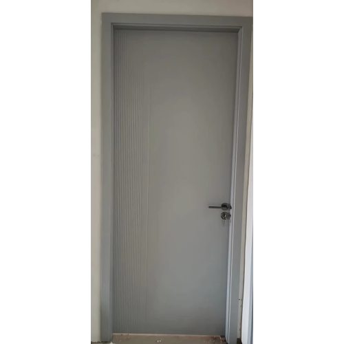 Modern Home Interior Security Door