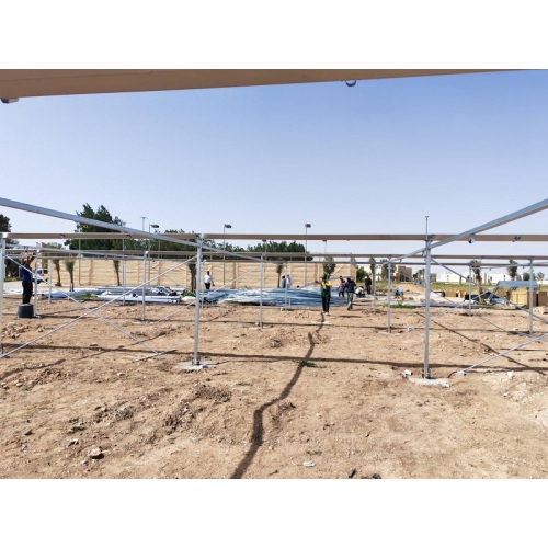 Chongqing Qingcheng Agriculture паскарае экспансію за мяжу; Прагрэс праекта цяпліцы ў Катары атрымаў высокую ацэнку