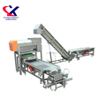3t/h Industrial Grape Juice Processing and Wine Making Equipment with Sorting Line1