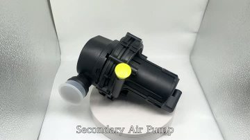 9224 Secondary Air Pump
