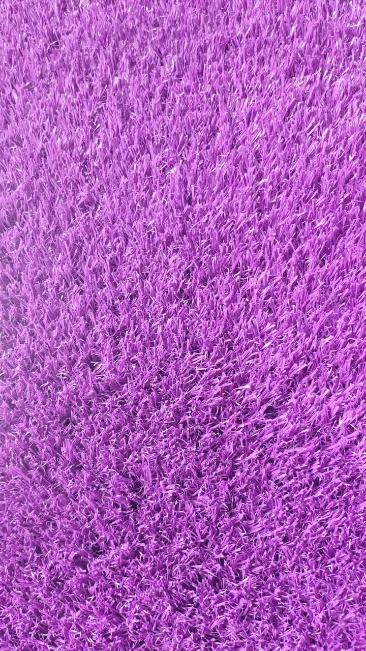 фиолетовая трава
