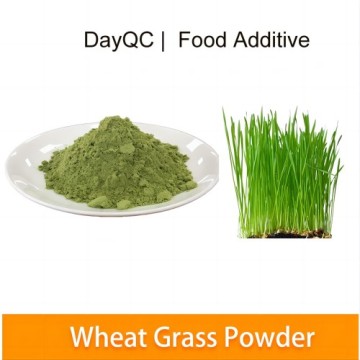 Top 10 China nutrient supplements for the aged Manufacturers