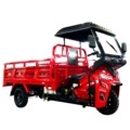 DAYANG 1500 kg Three Wheel Petrol Trike - Hot Selling Motorized Motorcycle with Cistern Cargo in South Africa1