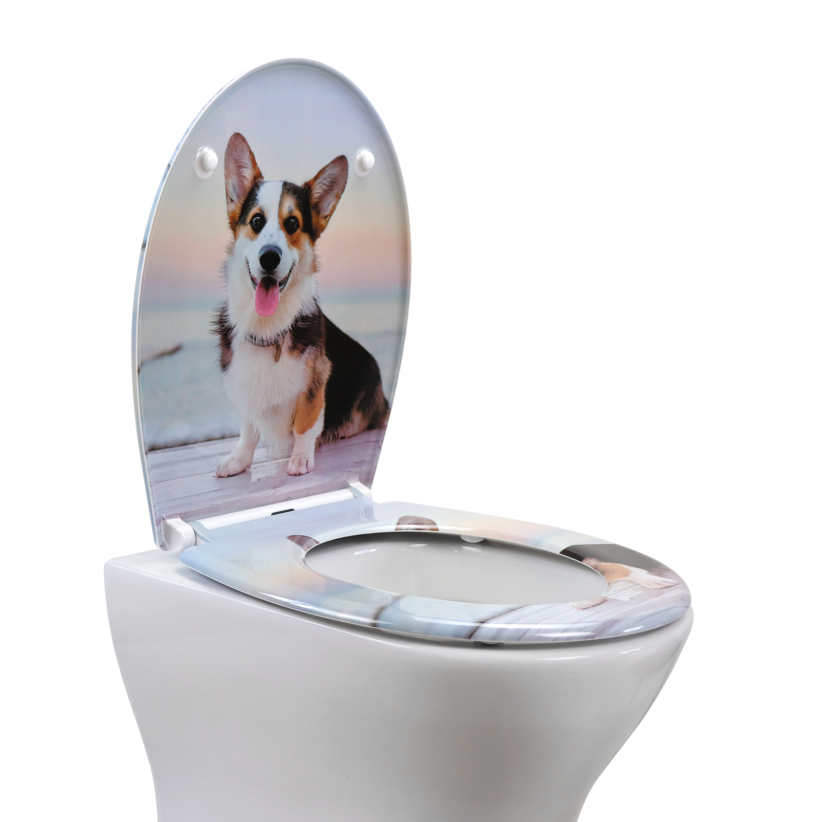 Toilet seat UF819-47