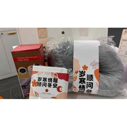 Abraçando a promessa da primavera, irradiando o esplendor das mulheres - oferta surpresa do Dia da Mulher da Ziptek