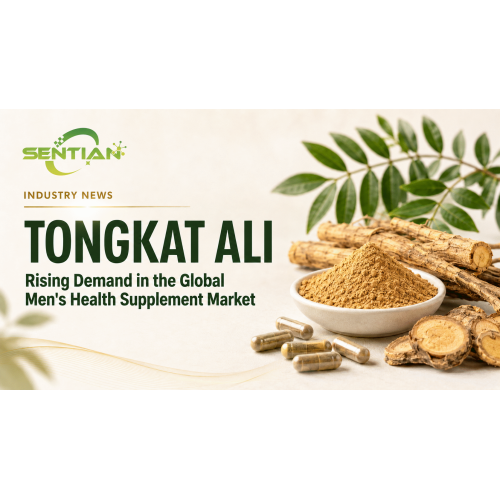 Tongkat Ali Extract Market Shows Strong Growth in 2026 as Demand for Men's Health Supplements Rise