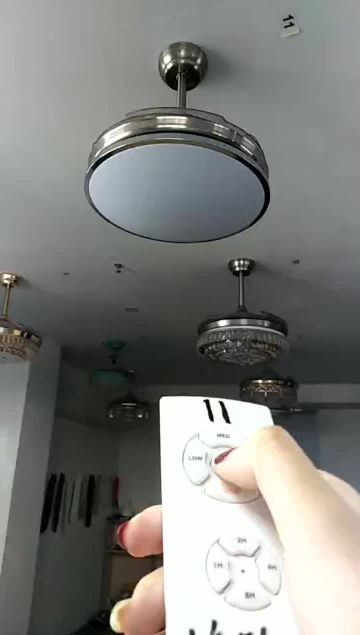 Ceiling fan with hidden blades