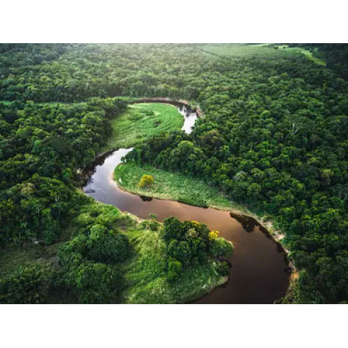 গ্লোবাল ডিজেল জেনারেটর বাজার রূপান্তরকে ত্বরান্বিত করে: শক্তি সংরক্ষণ, নির্গমন হ্রাস এবং বুদ্ধিমান প্রয়োগের উপর ফোকাস করুন