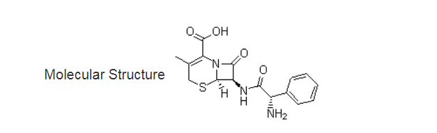 Cephalexin02