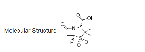 Sulbactam