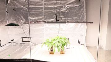 1000W LED High Bay Lights Kit