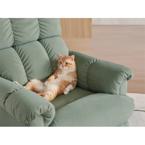 2026 Global Pet Sofa Industry Grows Steadily, Driven by Pet Humanization and Demand for Premium, Pet-Friendly Solutions