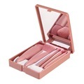 Wholesale 5pcs Makeup Brush Tool Set with Mirror1