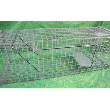 Top 10 Animal Cage Traps Manufacturers