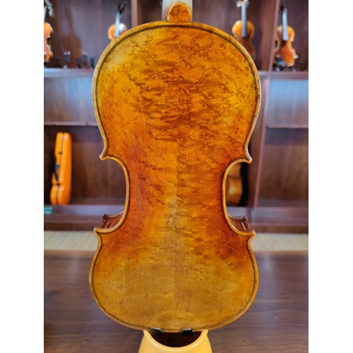 Violine-GF-EUA-14