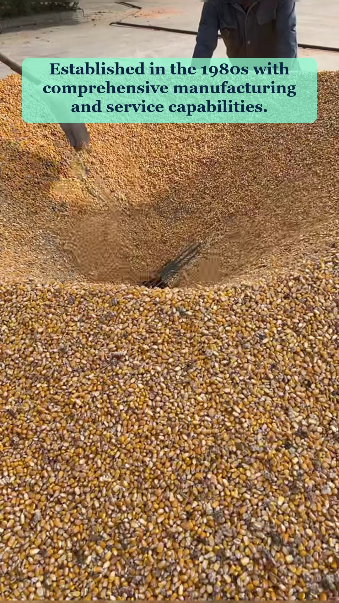 Vidéo 93
