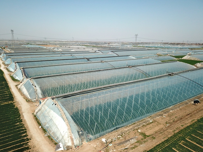 Shandong Shouzheng Plastic Industry co., Ltd