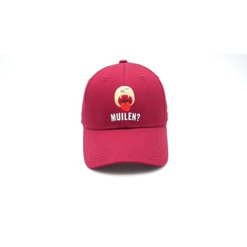 6 panel flat brodert baseball cap