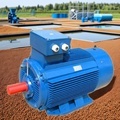 Motorized Fish Feeding System Search1