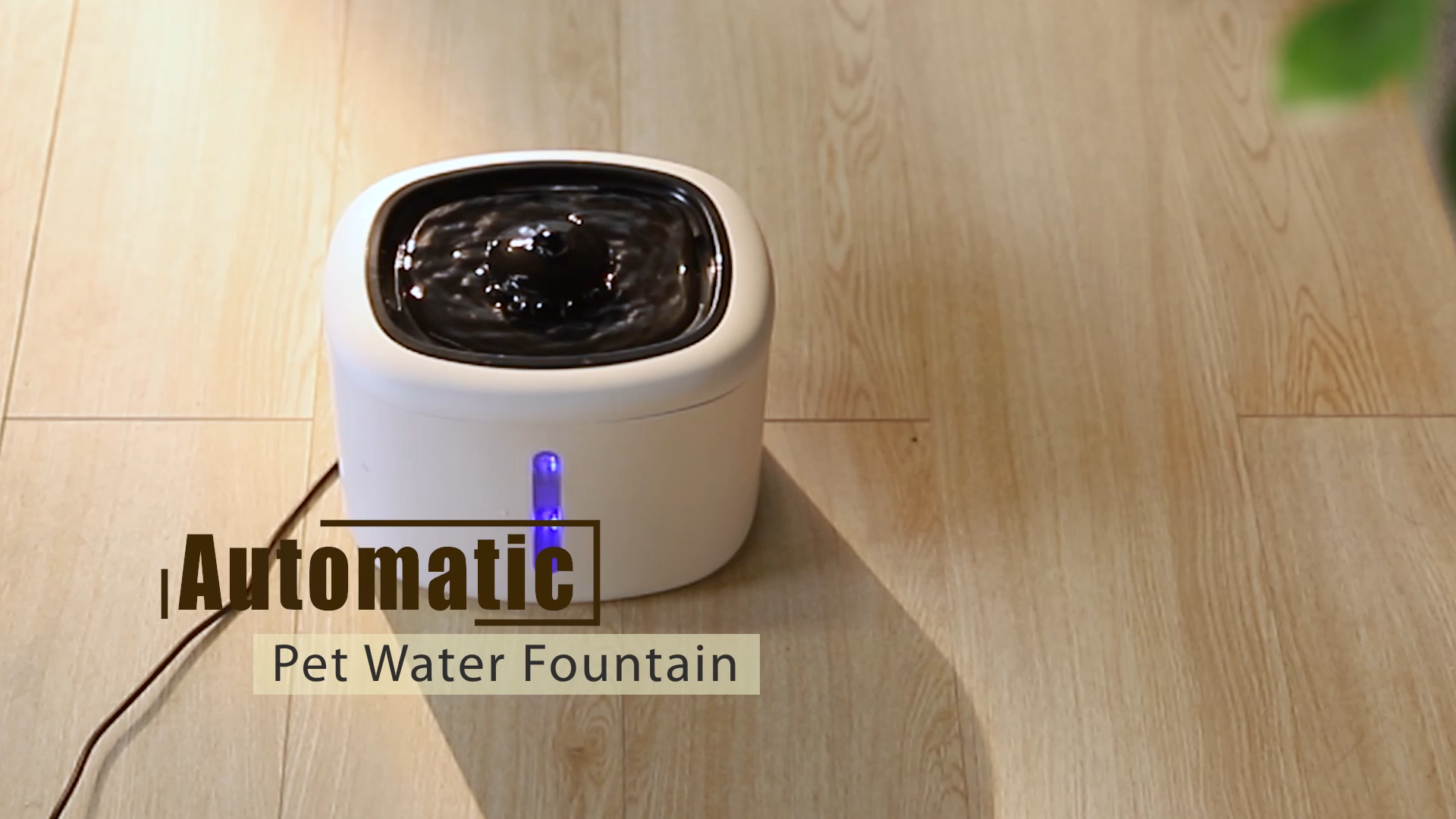 Chat Fountain Fountain Feeder Dispentier en eau pour animaux de compagnie Fountaine d&#39;eau pour animaux de compagnie pour animaux de compagnie1