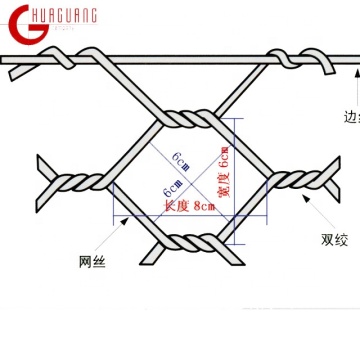 Top 10 China Chicken Wire Mesh Manufacturers