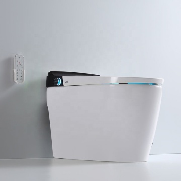 Ten Chinese smart toilet Suppliers Popular in European and American Countries