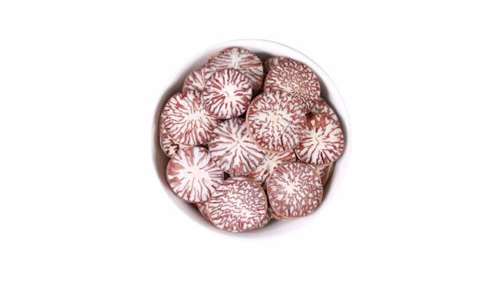 Betelnutpalm Seed