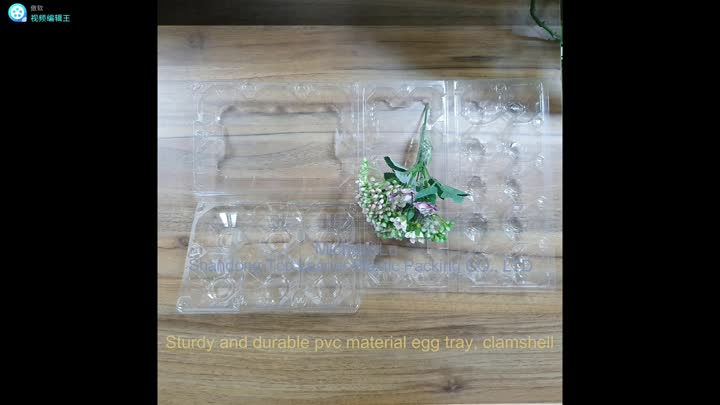 clear pvc egg tray