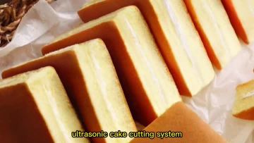 YM-3000 triangle cake