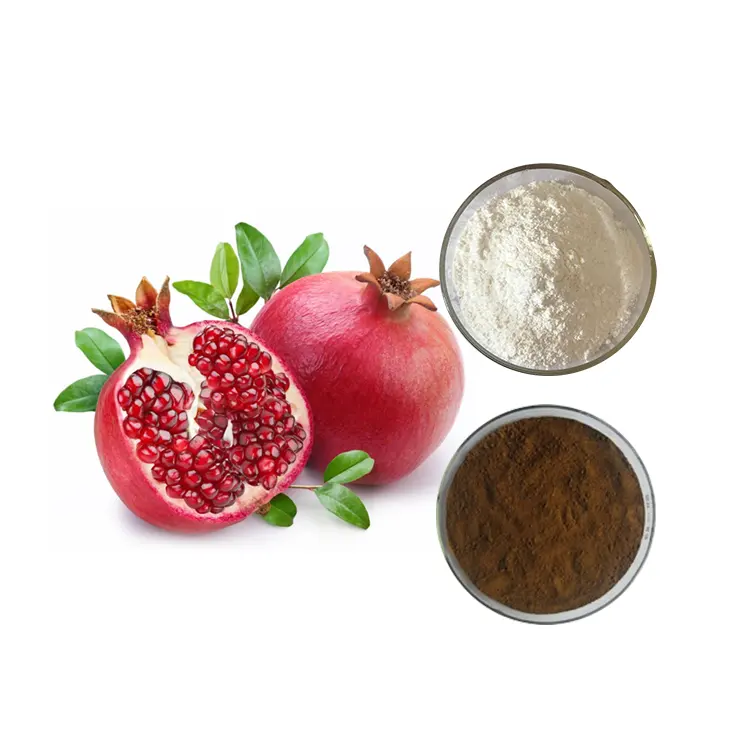 pomegranate extract