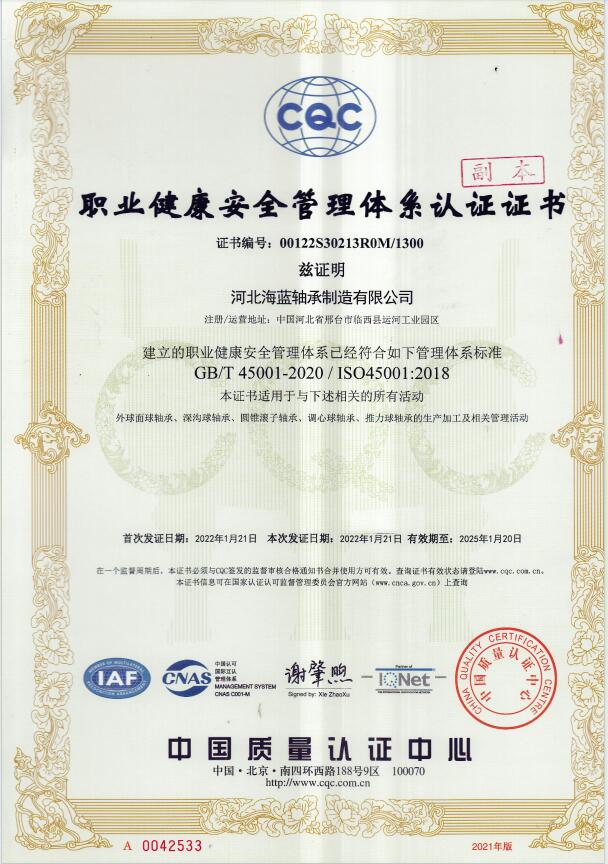 Occupational Health and safety management system Certificate