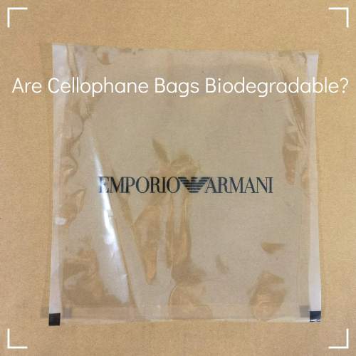 ຖົງ Cellophane ສາມາດຍ່ອຍສະຫຼາຍໄດ້ບໍ?