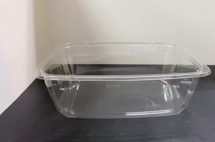 Salad Tub Container