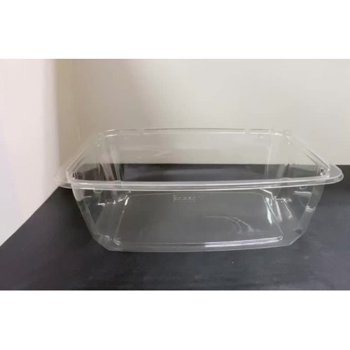 Salad Tub Container