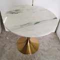 Ready to Ship Tulip Stainless Steel 304 Brush Gold Coffee Table with Marble Stone1